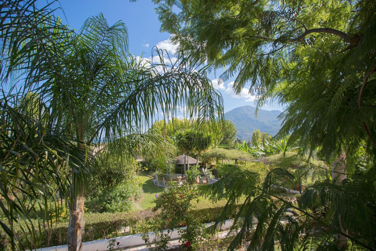 Sunny Garden